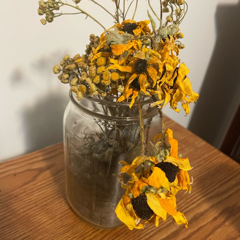 Meet your Posher, Sierra